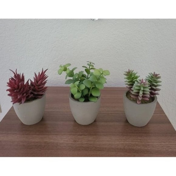 New Artificial Plants, 3 Pack Realistic Faux Succulents in Pots with Flower - Picture 1 of 4